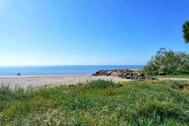 Los Albatros by HOMA