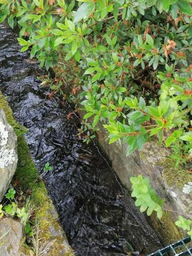 Lar da Mota Boutique Hotel