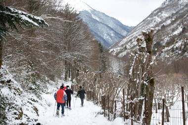 Verneda Mountain Resort