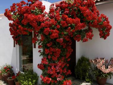 Cozy Cottage in Ronda with Swimming Pool