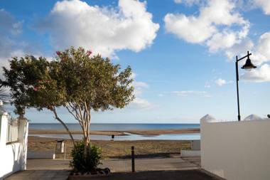 Flower Beach Lanzarote