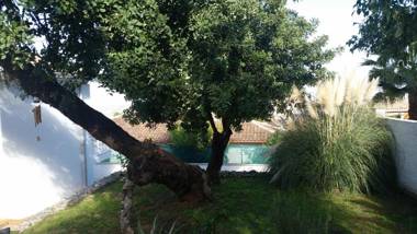 Villa Manzanilla Malaga