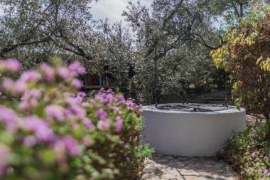 Cubo's Cortijo La Hilacha