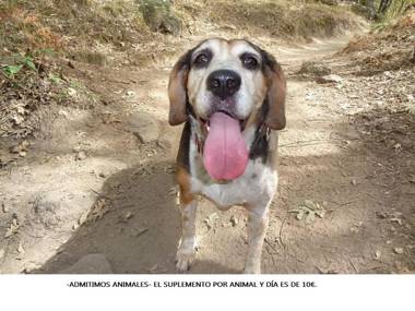 Hotel Venta El Molino