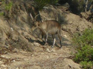 Casa del Renacimiento