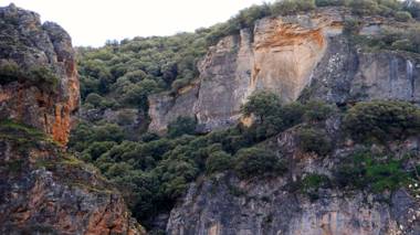 Casas Rurales Cortijo Bellavista