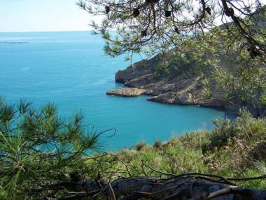 Apartamentos Mundaka Albir