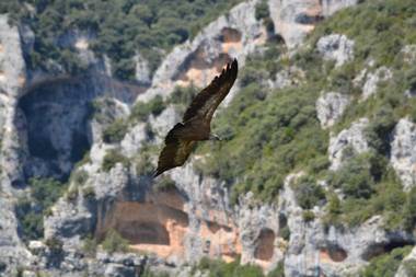 Boutique Hotel Tierra Buxo - Adults Only