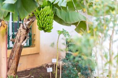 Sunset Harbour Club By Diamond Resorts