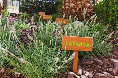 Lindner Golf Resort Portals Nous