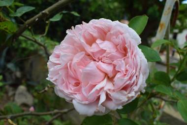 Villa Pedro strandnah ruhig zentral