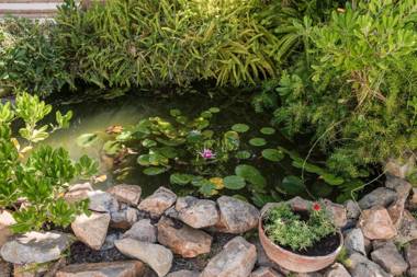 Hauzify I Apartament Orquidies