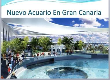 Pensión Sea of Clouds