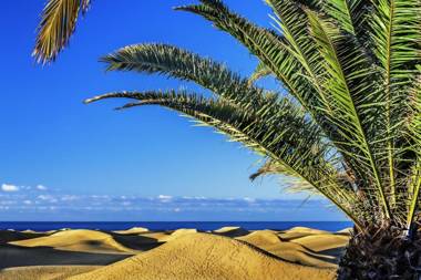 Las Adelfas By CanariasGetaway