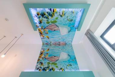 HD Acuario Lifestyle