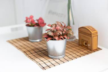 Bungalow Palm Mar with pool and garden