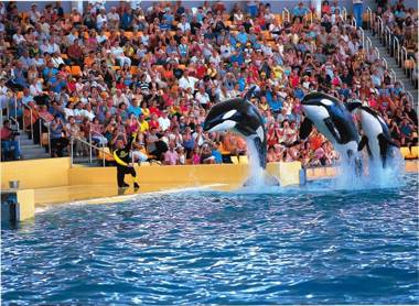 BEACH APT WITH SEA VIEW & POOL 50 STEPS TO THE SEA