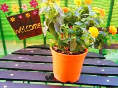 2 bedrooms appartement with balcony and wifi at Las Gabias