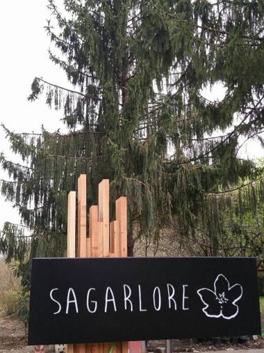 Hotel Rural Sagarlore