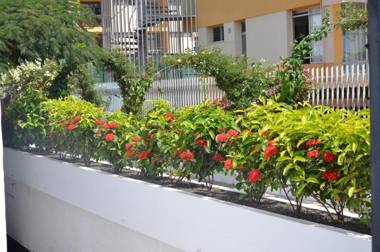 Alsol Las Orquídeas