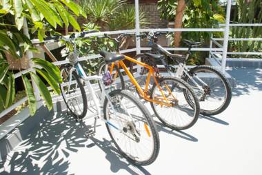 Apartamentos El Paseo