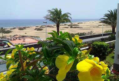 Apartamentos Don Palomón