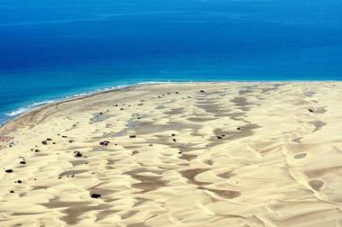 Apartamentos El Palmar