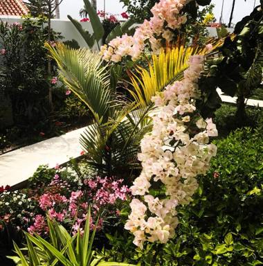 Villa Adler Gay Men Only