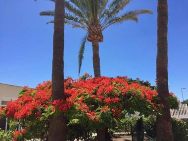 Bungalows Granada Beach