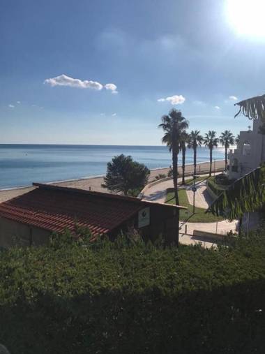 Star of the Sea Miami Playa vacaciones frente al Mar