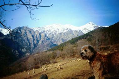 La Cabanya de Cal Forn de Serrat