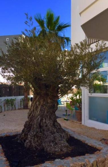 Apartamentos Es Cantó