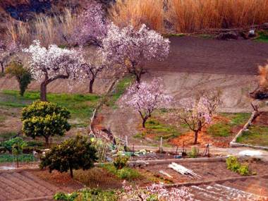 Complejo Rural Sol de Taberno