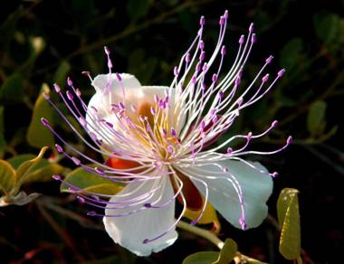 Complejo Rural Sol de Taberno