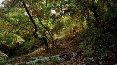 Hotel Rural Las Campares