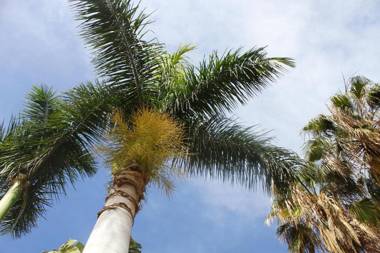 Playa De Mogan La Puntilla