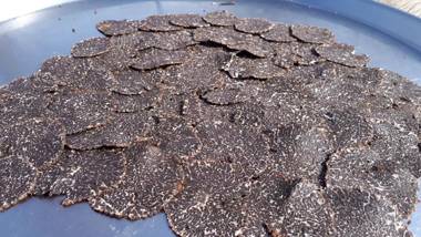 La Casa de la Estación