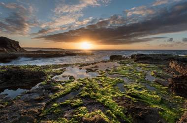 Fronton Whale Apartamentos