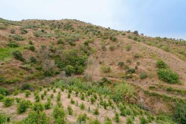 Casa Rural El Tesillo