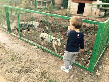 Apartamentos El Prado