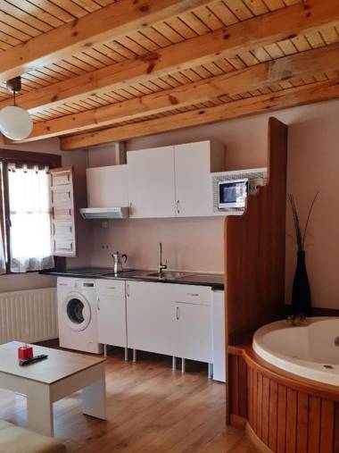 Apartamentos Aguasaliu