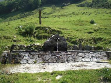 Apartamentos Los Rosales