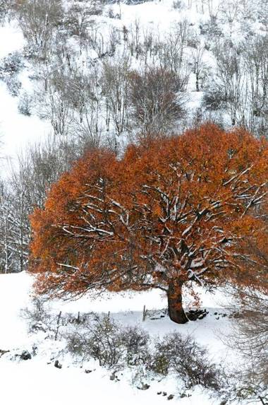 Posada Rural Lindos Sueños