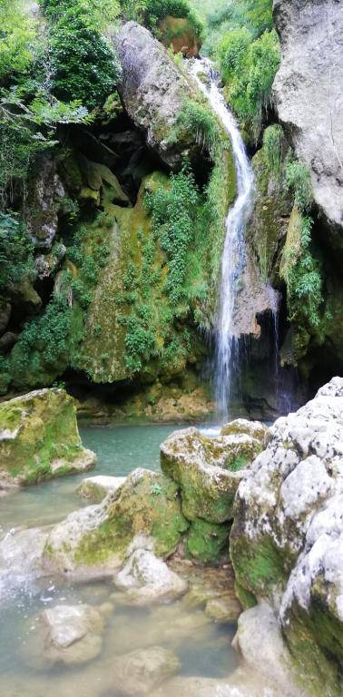 La Madriguera de Tomaso