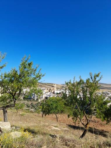 La Casita de Papel Alhama de Granada