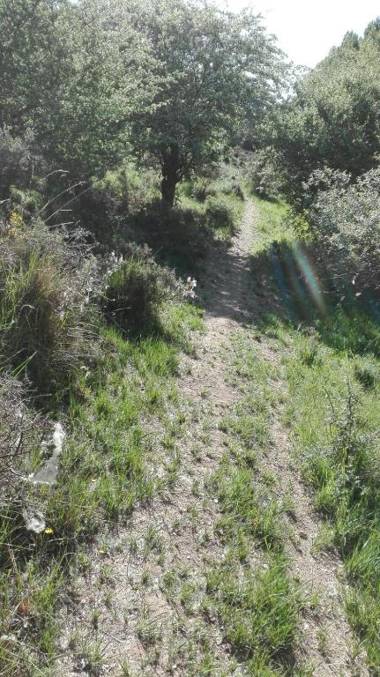 Casa Rural La Muralla