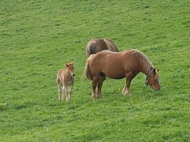 Casa Rural Oihan - Eder