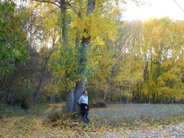 Spa y Casa Rural Rio Dulce