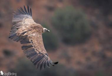 Spa y Casa Rural Rio Dulce