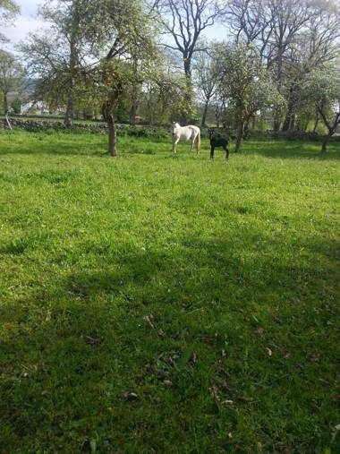 El Cajigal de Quintana